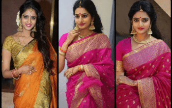 Boyanika Sarees: The Timeless Elegance